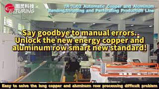 【TR-TL02】Revolutionizing Metal Processing: 400% Faster, ±0.1° Precision Auto Bending Line!