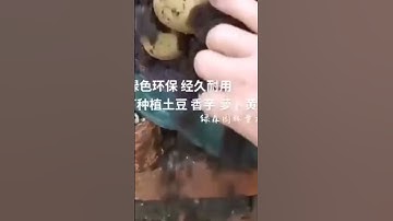 Potato Grow Bag With Flap