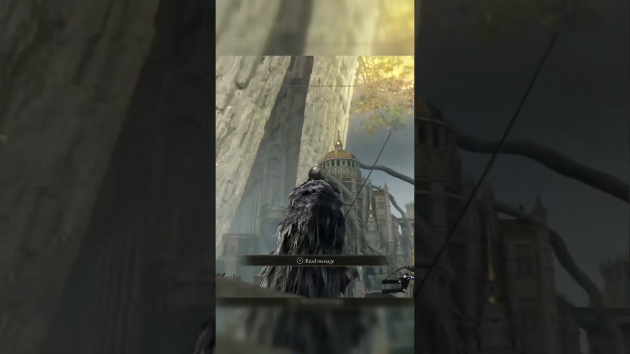 That’s a BIG tree 🌳 