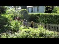 The Village Garden