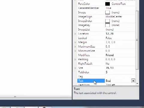How to make a Web Browser in Windows Visual Basic 2010
