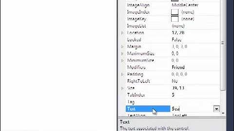 How to make a Web Browser in Windows Visual Basic 2010