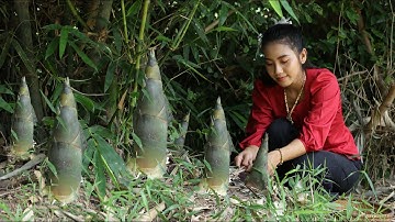 Bamboo shoot in my homeland and cooking soup for my family - Healthy food