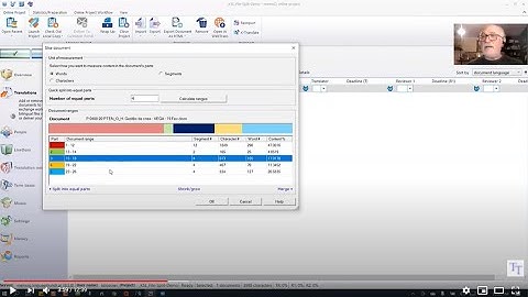 Document Slicing in memoQ Server Projects