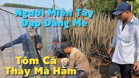 Người Miền Tây Đạp Đăng Mé Bắt Tôm Cá Nhìn Thấy Mà Ham | Cù Lao Dung Vlogs #904