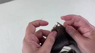 Alternative Grafting method to Kirchner Stitch