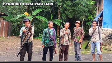 Berburu Hama Tupai di Pinggir Kampung, Spot Tupai Melimpah