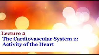 Lecture 2 - Cardiovascular System: Activity of the Heart