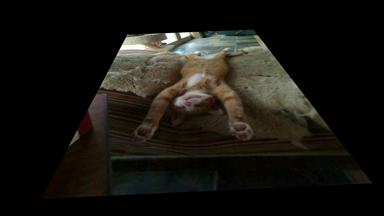 Sleepy Night Music  ⚡︎  8 Hours