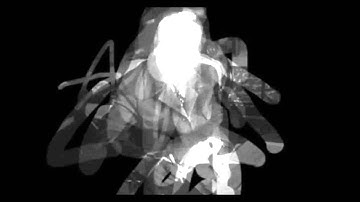 Who is Carl Schmitt?