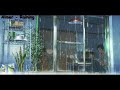 Aimer - Raining