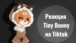 Реакция Tiny Bunny на Tiktok (без стекла) |Gacha| 1/1