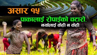 असार १५ को रौनक र मौलिकतामा कमी | Voxpop Nepal #asar15 #dahichiura