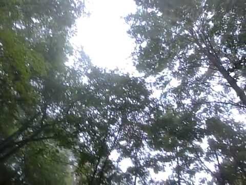岩手網張温泉「野天・仙女の湯」