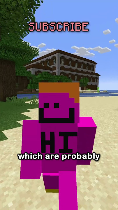 the rarest armor trim is very rare