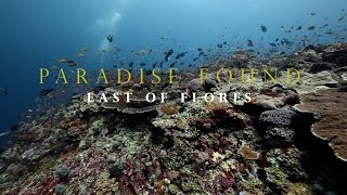 Paradise Found : East of Flores