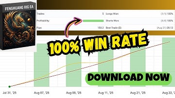 Fenghuang Rig EA | v1.3 MT4 – Advanced Forex Trading Bot