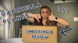 Gabriella Plants Unboxing and Review! Plant Haul and First Impressions