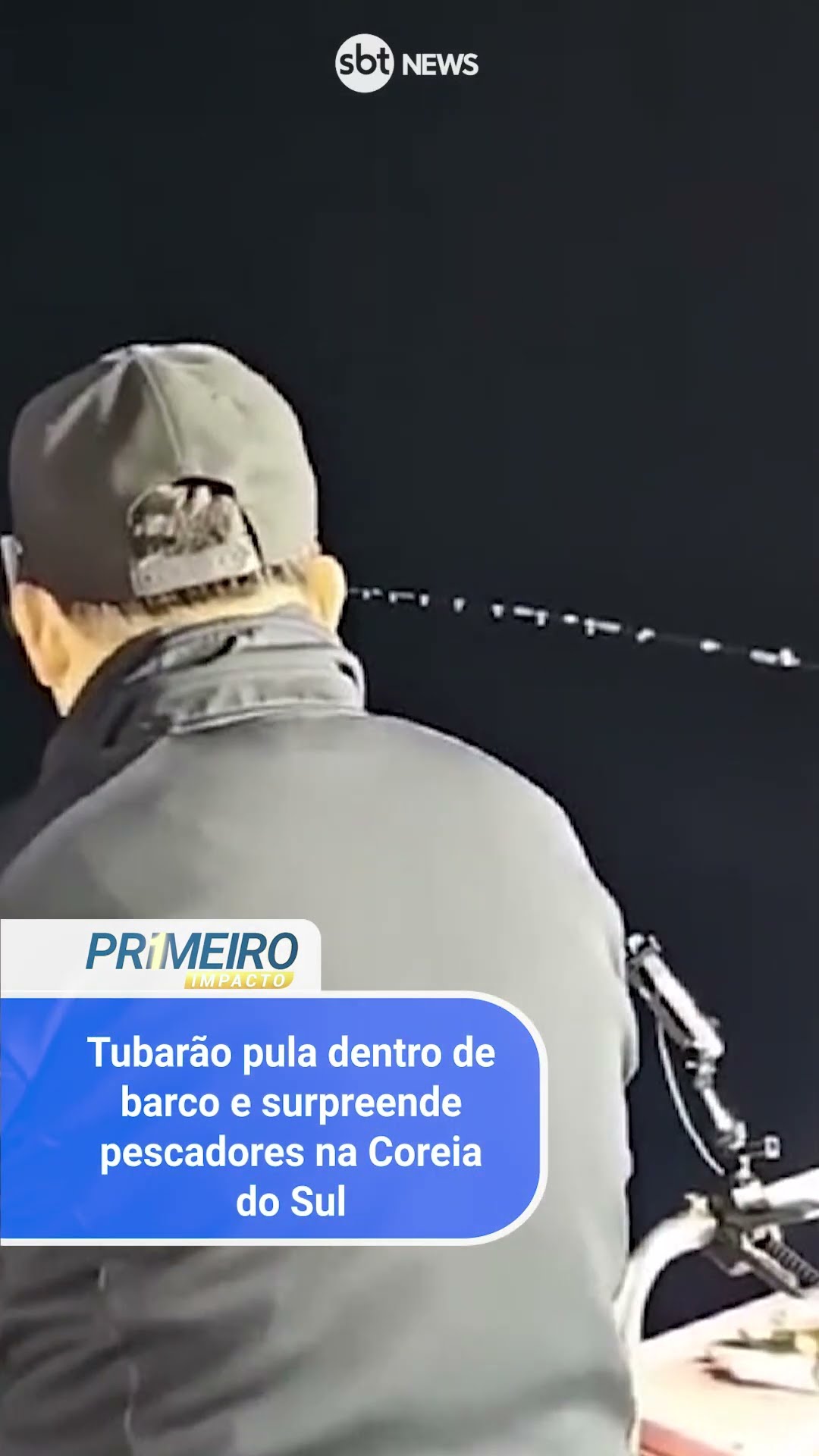 Tubarão pula dentro de barco e surpreende pescadores na Coreia do Sul
