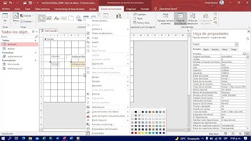 Formularios de Consulta en Microsoft Access