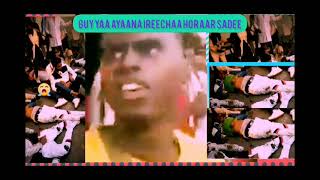 Ethiopian Arralee Ajeechaa Fi Doorsisaa Oromoo Irra Ihndhiifnee Yaalamiitoo