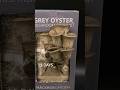 Grey Oyster Mushroom Time-lapse
