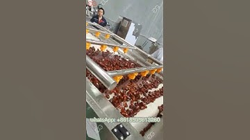 Dates Sorting Line  Dates Processing Machine