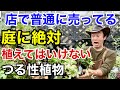 【要注意】気軽に植えると家まで覆うつる性植物 8選 【カーメン君】【園芸】【ガーデニング】【初心者】