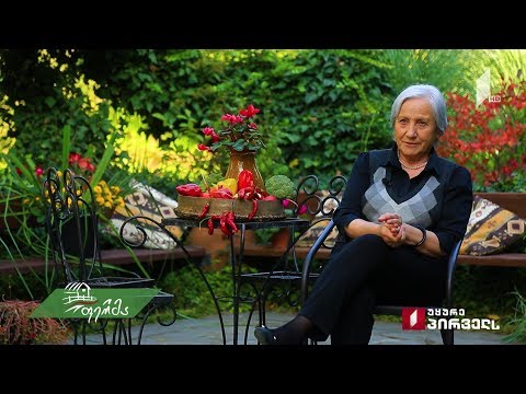 #არტიშოკი  ბუნების სიუხვე და შემოქმედებითი საქმიანობა -  მეურნეობა თოხლიაურში