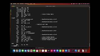 Erstellen eines Assembler-Programmes für ARM64 auf dem Macbook M1/M2 mit XCode/godbolt.org und GCC Wealth