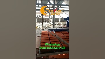 The best machine to make color paving bricks concrete pavement brick slab making machine #shiyue