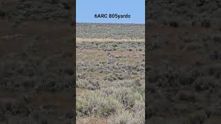 @BallisticAdvantage @VortexNation @hornady