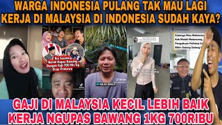 SETOP KERJA KE MALAYSIA INDONESIA SUDAH KAYA KERJA NGUPAS BAWANG 1kg 700RIBU APA DI MALAYSIA GJKECIL