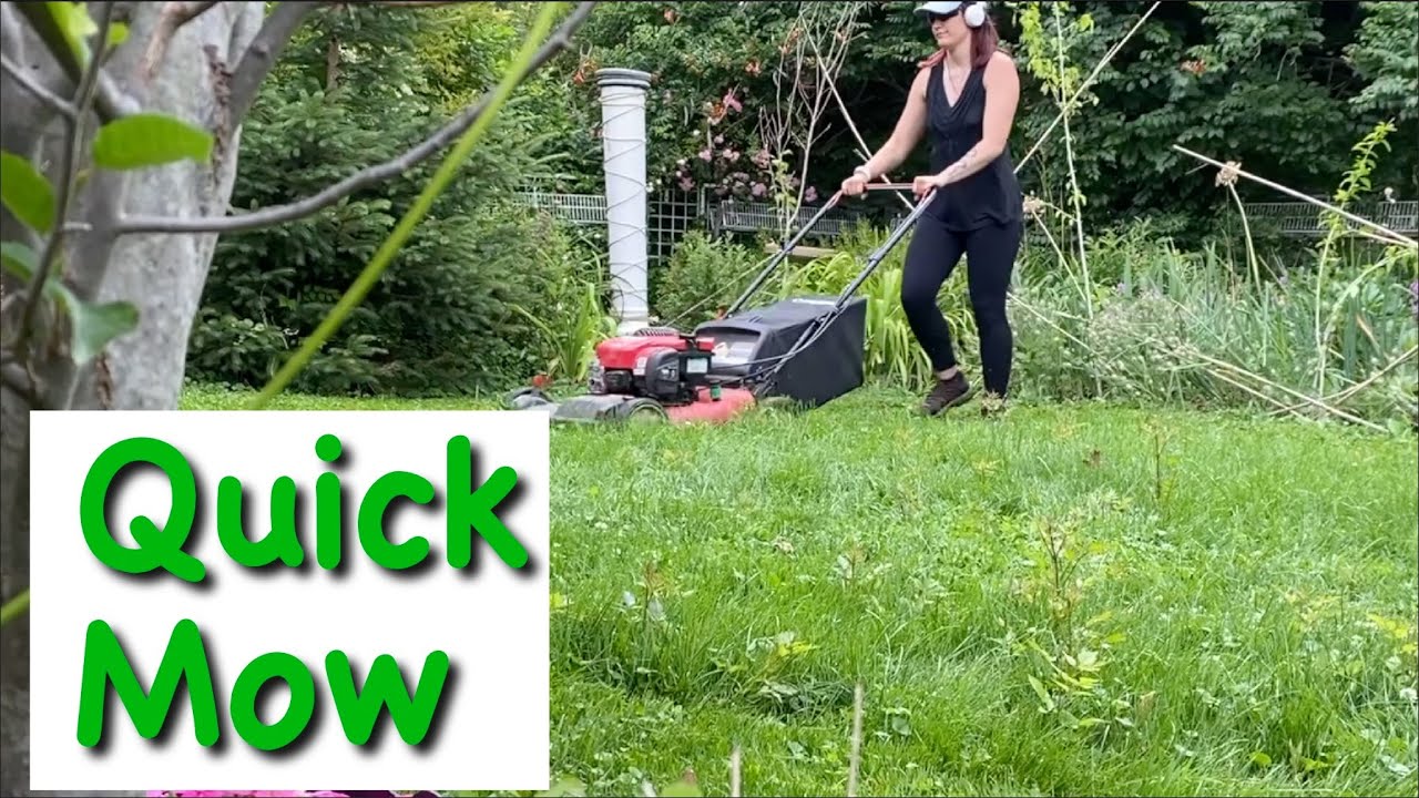 Quick Grass Cutting YouTube
