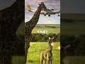 みんなはこう聞こえるかなぁ？