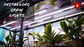 The BEST grow lights for Orchids?! Installation of Barrina Grow Lights on IKEA VITTSJO shelves! screenshot 3