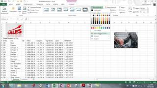 MS Excel 2013 - Pictures, Wordart, Textboxes