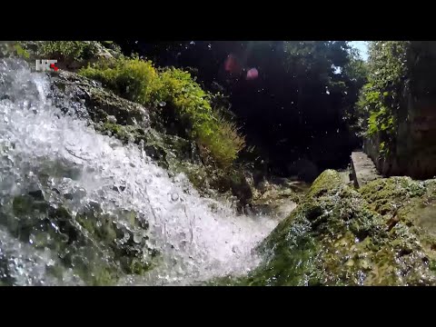 Puls: Carsko vrilo