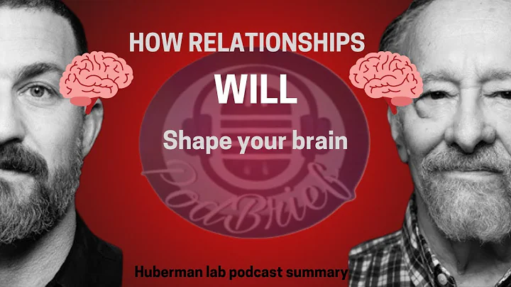 How Relationships Shape Your Brain | Huberman Lab x Dr. Allan Schore Summary