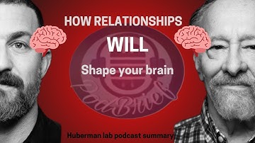 How Relationships Shape Your Brain | Huberman Lab x Dr. Allan Schore Summary