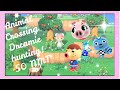 Animal crossing cute villager hunting 50 nmt