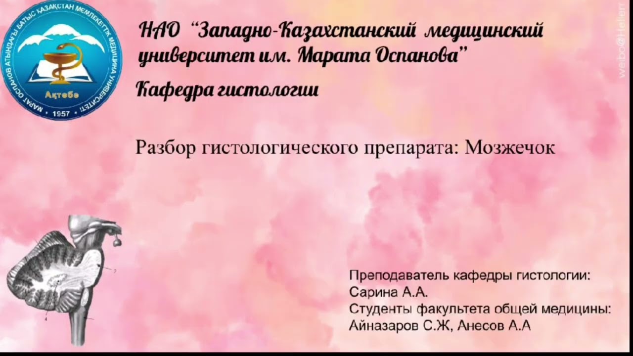 Қынаптық шашты кетіруге арналған бейне Қыз әжетханада бітті