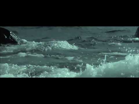 COLDBOUND - My Solace (OFFICIAL VIDEO)