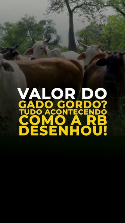 Valor Do Gado Gordo? Tudo Acontecendo Como A Rb Desenhou!