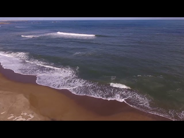 音楽の魔法で豊かなひと時を～煌めきの夏 Vol2