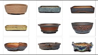 Bonsai Pot shapes & styles with Dan Barton