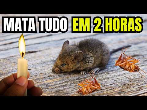 MORRIA E NÃO