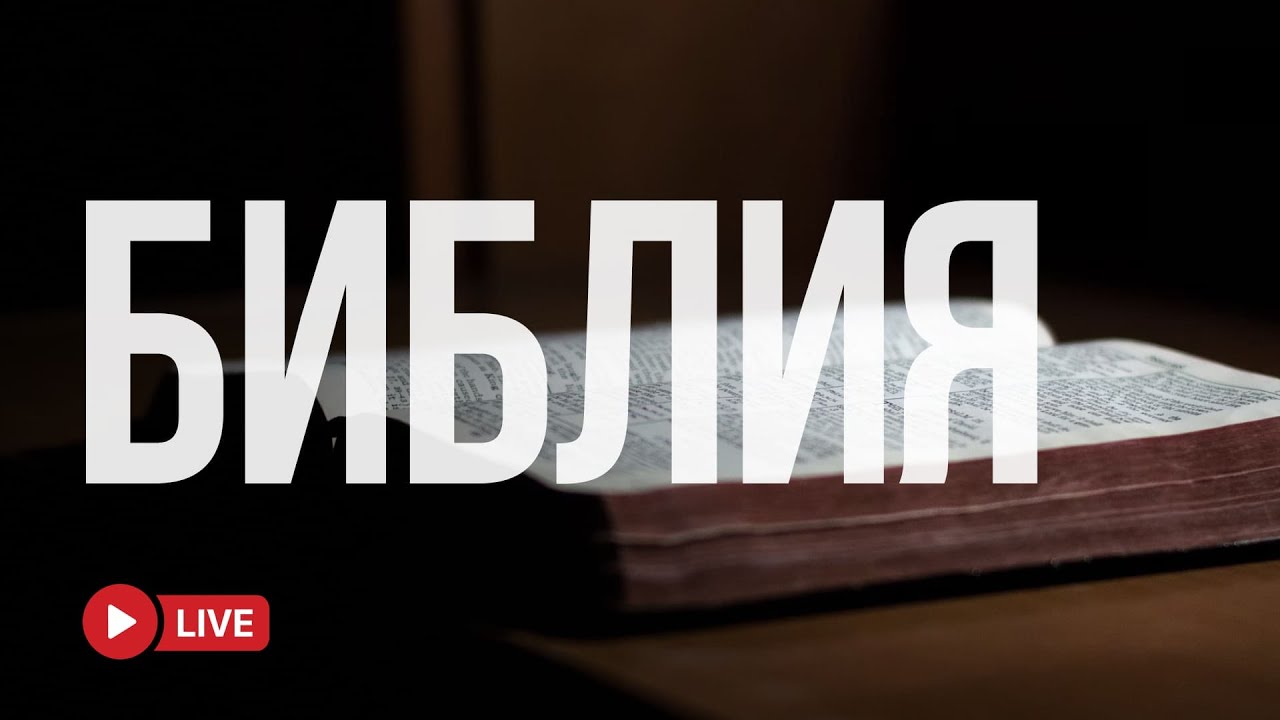 Святая книга — свет для души 🔴 BibleVision LIVE