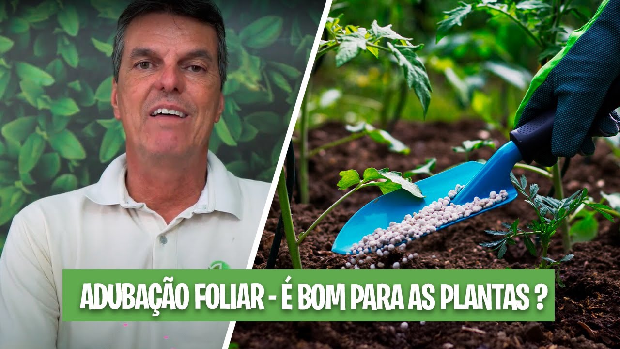 QUAL A  IMPORTÂNCIA DA ADUBAÇÃO FOLIAR ?