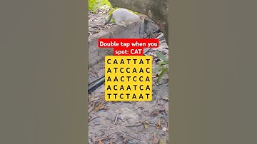 Observation Visual Test: 5 Seconds For You To Spot "CAT". Try Your Skills! #search #puzzle #shorts